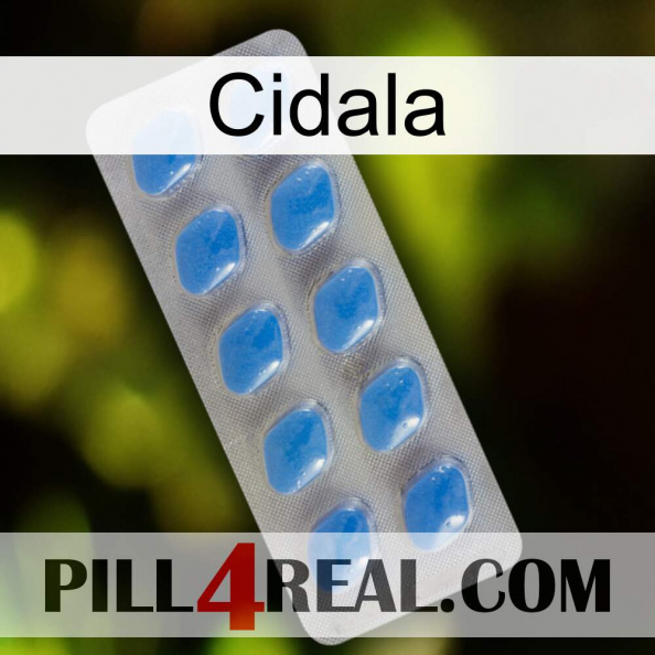 Cidala 22